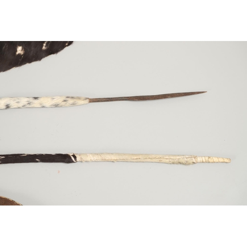 152 - TWO ZULU TYPE COWHIDE SHIELDS AND SIMILAR SPEARS. A Zulu black and whit cowhide shield 66 x 43cm wit... 