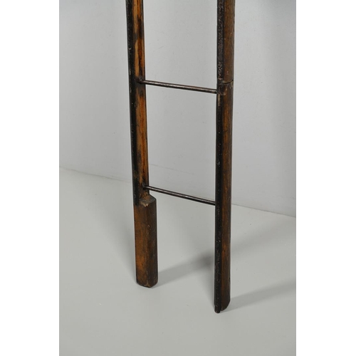 310 - A FIRST WORLD WAR HODGKINSONS PATENT TRENCH LADDDER. A Folding trench ladder stamped 'Hodgkinson's P... 