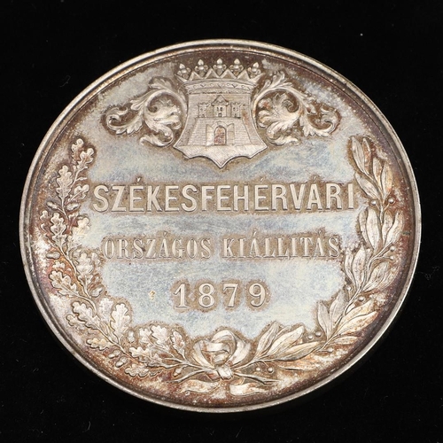 377 - A PRESENTATION MEDAL FOR THE SZEKESFEHERVARI NATIONAL EXHIBITION OF 1879. An award or souvenir medal... 