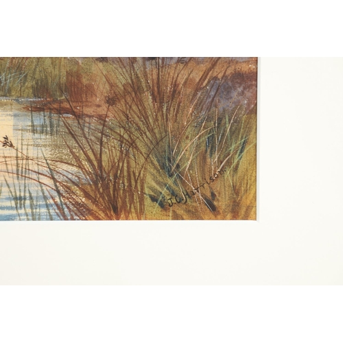 118 - JOHN CYRIL HARRISON (1898-1985). AGAINST THE SUNSET (SNIPE). (d) Signed, watercolour
22.5 x 32.5cm.
... 