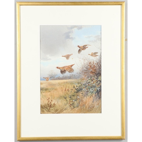 119 - JOHN CYRIL HARRISON (1898-1985). LOW OVER THE HEDGE (PARTRIDGES). (d) Signed, watercolour
32.5 x 22.... 