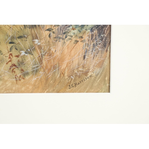 119 - JOHN CYRIL HARRISON (1898-1985). LOW OVER THE HEDGE (PARTRIDGES). (d) Signed, watercolour
32.5 x 22.... 