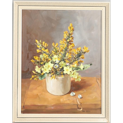 147 - ANNE COTTERILL (1933-2010). A BOWL OF GORSE AND PRIMULA. (d) Signed, oil on board
40.5 x 31cm.  *Con... 