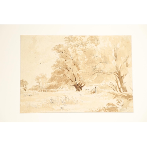 26 - A GROUP OF TWENTY LANDSCAPE WATERCOLOURS & DRAWINGS. To comprise examples by or attributed to P.S.W.... 