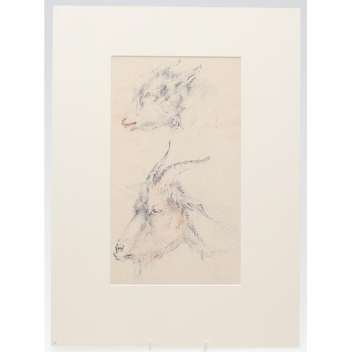 31 - JAMES WARD, RA (1769-1859). TWO STUDIES OF GOATS' HEADS. Bears name `Ward` in ink, black and red cra... 