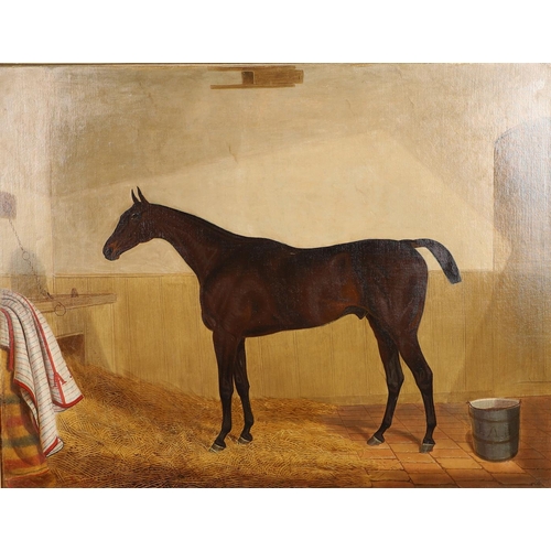 77 - THOMAS TEMPLE (1821-1907). PORTRAIT OF A BAY RACEHORSE, BELIEVED TO BE `CYRUS`. Signed and dated 189... 