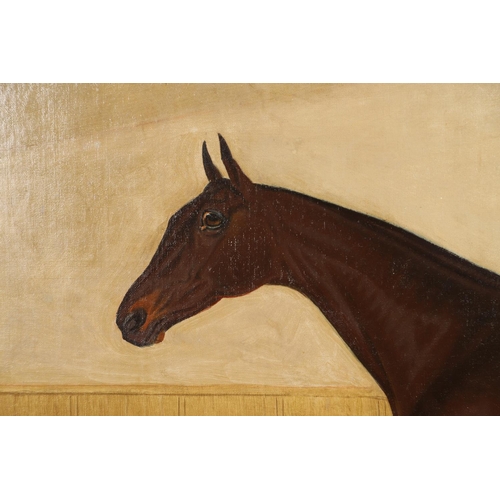 77 - THOMAS TEMPLE (1821-1907). PORTRAIT OF A BAY RACEHORSE, BELIEVED TO BE `CYRUS`. Signed and dated 189... 