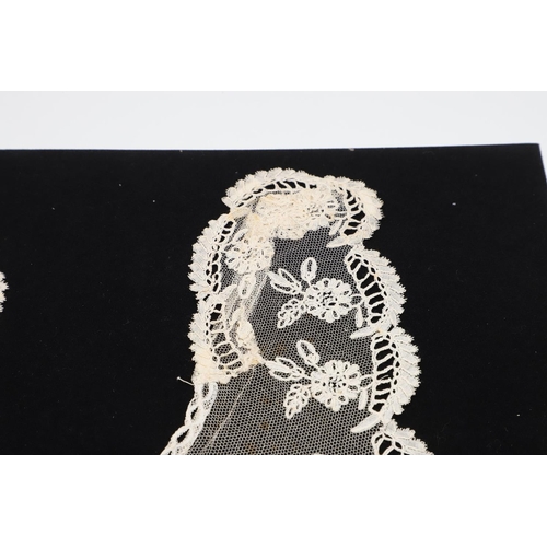 537 - QUEEN VICTORIA INTEREST - HONITON LACE BERTHA. A 19thc Honiton lace bertha, mounted on a piece of bl... 