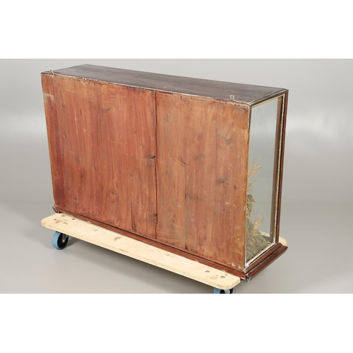 560 - TAXIDERMY - LARGE CASED DISPLAY OF PHEASANTS, BIRDS & RABBITS. A large wooden and glazed case, conta... 