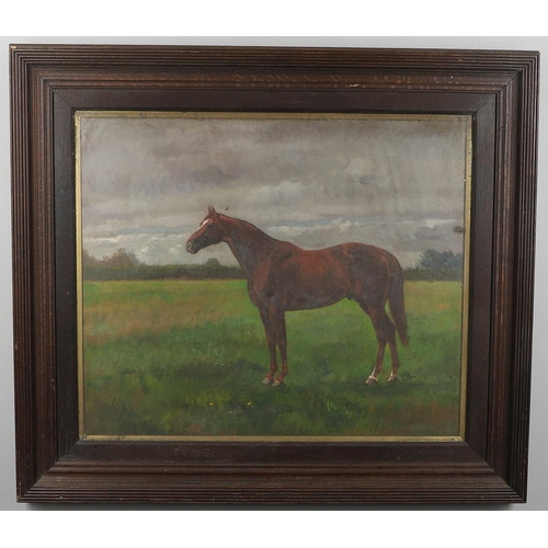 569 - GERALD W TOOBY - OIL PORTRAIT OF A HORSE. A large oil on canvas of a bay horse 'Rock Flint', the hor... 