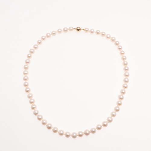 1081 - A SINGLE ROW UNIFORM CULTURED PEARL NECKLACE. the pearls measure approximately 8.2mm and are set to ... 