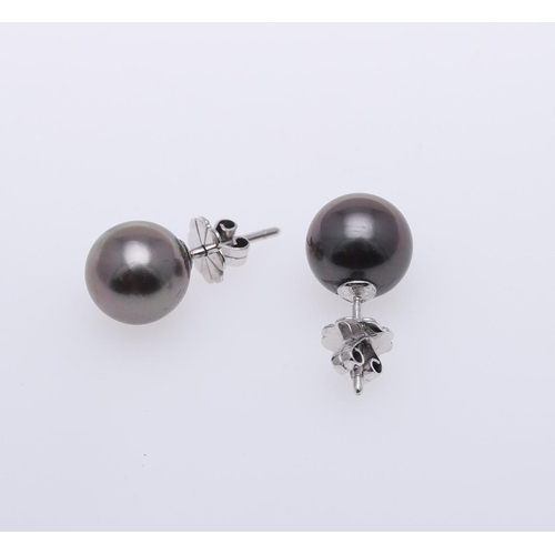 1087 - A PAIR OF BLACK SOUTH SEA CULTURED PEARL STUD EARRINGS. each earring mounted with a black South Sea ... 