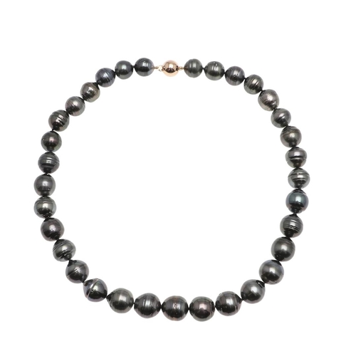 1092 - A SINGLE ROW TAHITIAN PEARL NECKLACE. the pearls graduate from approximately 13.00 - 11.5mm to a 9ct... 