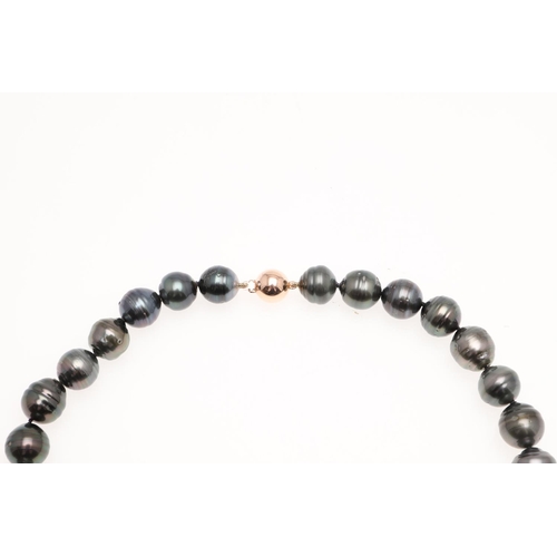 1092 - A SINGLE ROW TAHITIAN PEARL NECKLACE. the pearls graduate from approximately 13.00 - 11.5mm to a 9ct... 