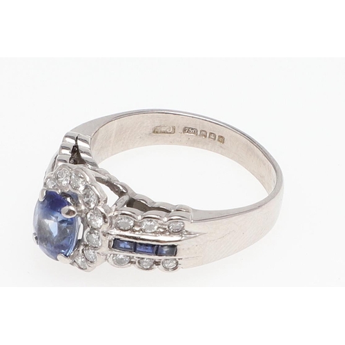 1128 - A SAPPHIRE AND DIAMOND CLUSTER RING. the oval-shaped sapphire is set within a surround of circular-c... 