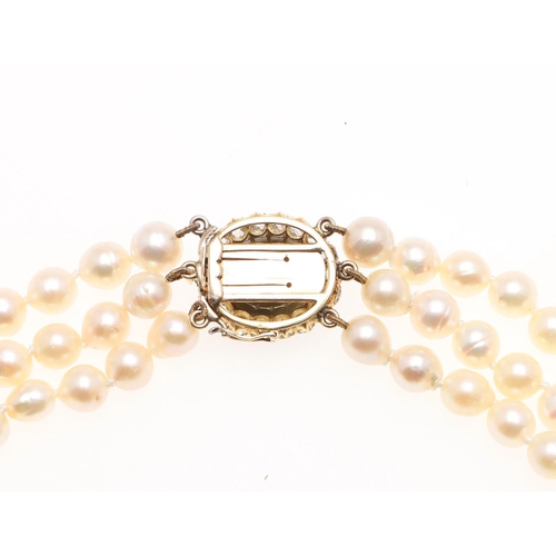 1149 - A THREE ROW CULTURED PEARL CHOKER. the pearls measure approximately 5.5-6.5mm and are set to a yello... 