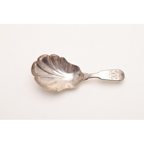 46 - A WILLIAM IV PROVINCIAL CADDY SPOON. Fiddle Pattern, with a shaped fluted bowl and the terminal engr... 