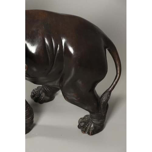 1452 - A PAIR OF LARGE BRONZE ELEPHANTS. hollow cast, modelled charging with trunks raised, height 125cm, l... 