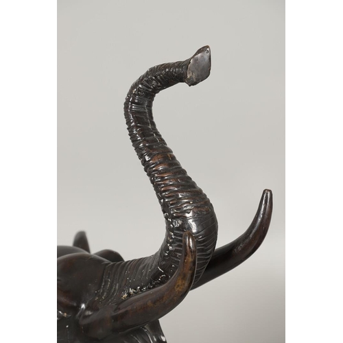 1452 - A PAIR OF LARGE BRONZE ELEPHANTS. hollow cast, modelled charging with trunks raised, height 125cm, l... 