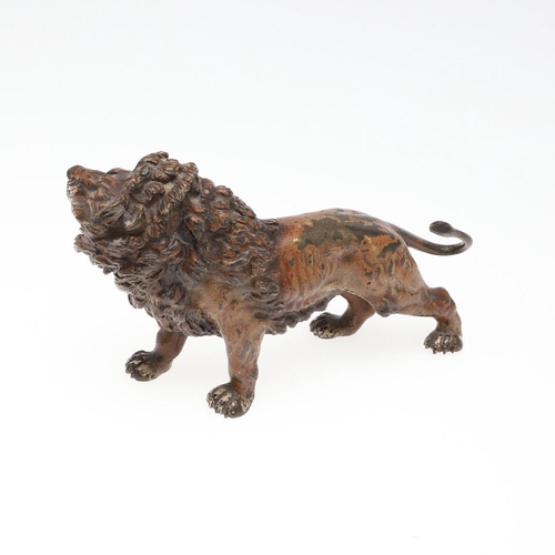 1464 - AN AUSTRIAN COLD PAINTED BRONZE OF A LION. early 20th century, naturalistically modelled in a standi... 