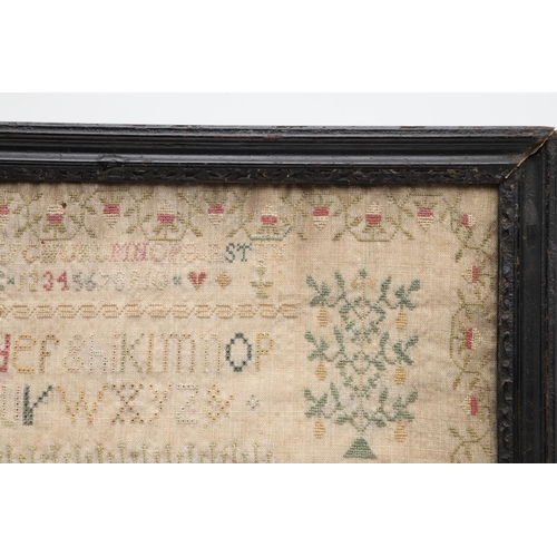 1476 - AN EARLY 19TH CENTURY NEEDLEWORK SAMPLER. depicting flowers and fruiting trees in planters flanked b... 