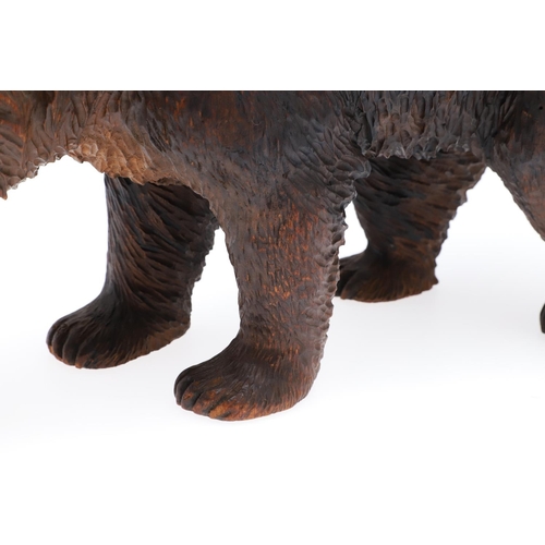 1509 - A BLACK FOREST CARVED BEAR. carved in a walking stance, with painted open mouth and glass eyes, heig... 