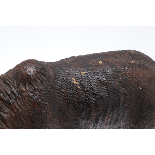 1509 - A BLACK FOREST CARVED BEAR. carved in a walking stance, with painted open mouth and glass eyes, heig... 