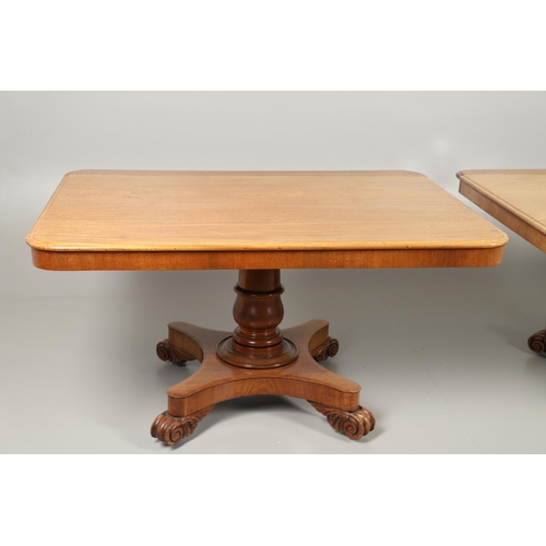 1574 - A WILLIAM IV MAHOGANY TWIN PILLAR DINING TABLE, CONVERTING TO TWO BREAKFAST TABLES. the rounded moul... 