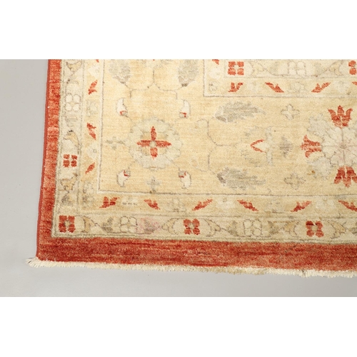 1747 - A MODERN AFGHAN ZIEGLAR DESIGN CARPET. the terracotta field with an all over design of palmettes and... 