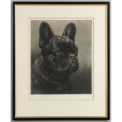 471 - HERBERT DICKSEE (1862-1942). FRENCH BULLDOG. Etching, signed in pencil
26.7 x 22cm.  *CR  Apparently... 