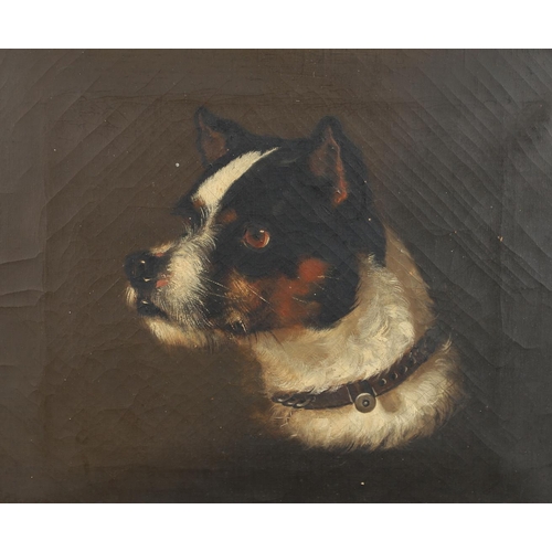 530 - W ** BARRETT JUNIOR (FL.C.1853). HEAD OF A TERRIER. Signed and dated 1853, oil on canvas
29.5 x 34.5... 