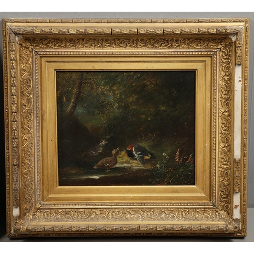 532 - TOM HOLD (1843-1902). FOXHOUNDS RUNNING FROM A COPSE; MALLARDS BY A WOODLAND POOL. A pair, both sign... 