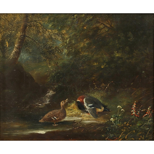 532 - TOM HOLD (1843-1902). FOXHOUNDS RUNNING FROM A COPSE; MALLARDS BY A WOODLAND POOL. A pair, both sign... 