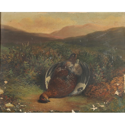 533 - ABEL HOLD (1815-1896). DEAD RED GROUSE. Apparently unsigned, oil on canvas, slip frame
42 x 52cm.  *... 