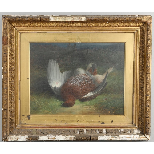 534 - ABEL HOLD (1815-1896). SHOT GROUSE. Signed and dated, probably 1876, oil on canvas
33.5 x 44.5cm.  *... 