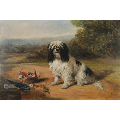 537 - WILLIAM ELSTOB MARSHALL (FL.C.1859-1880). A BLACK AND WHITE TIBETAN TERRIER. Signed with initials an... 