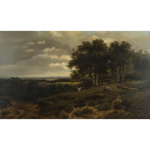 540 - ABRAHAM HULK JUNIOR (1851-1922). SHEEP GRAZING BY A GLADE OF TREES IN OPEN COUNTRY. Signed, oil on c... 