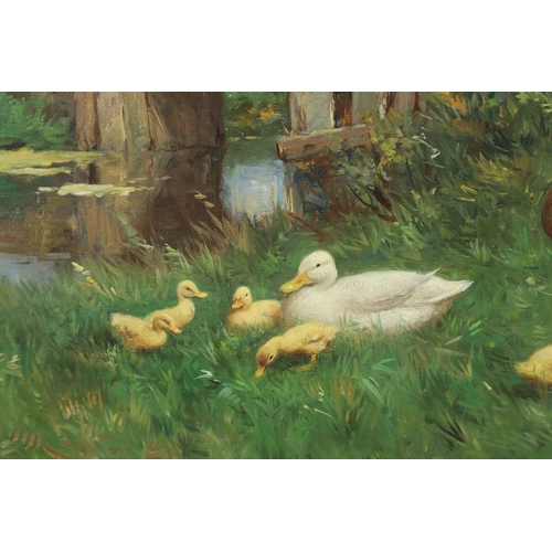 566 - CONSTANT ARTZ (1870-1951). DUCKS BY A COUNTRY POOL. Signed, oil on canvas
38 x 48.5cm.  *CR  Good co... 