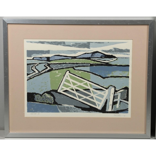 590 - DR DAVID BETHEL, CBE, RWA (1923-2006). WHITE GATE; CRICK WHARF. (d) Two, linocuts, each signed and t... 