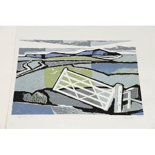 593 - DR DAVID BETHEL, CBE, RWA (1923-2006). A FOLIO OF SEVEN LINOCUTS, 1980-2000. (d) To comprise White G... 