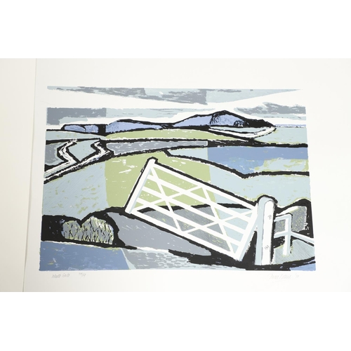 594 - DR DAVID BETHEL, CBE, RWA (1923-2006). A FOLIO OF SIX LINOCUTS, 1980-2000. (d) To comprise The Grand... 