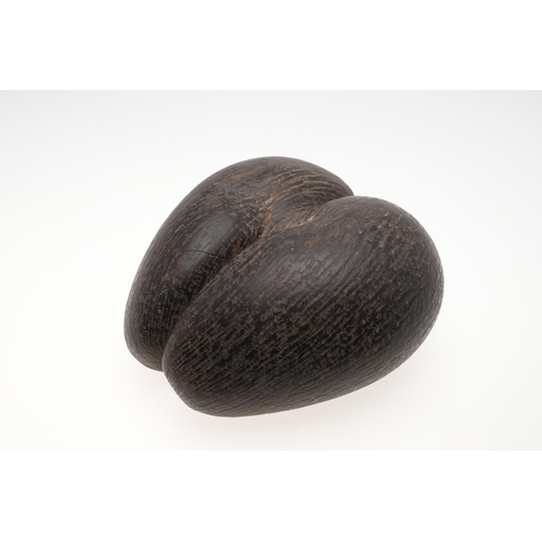 660 - COCO DE MER (LODOICEA). A large Coco De Mer nut, approx 31cms by 28cms at widest point.  *CR  See on... 