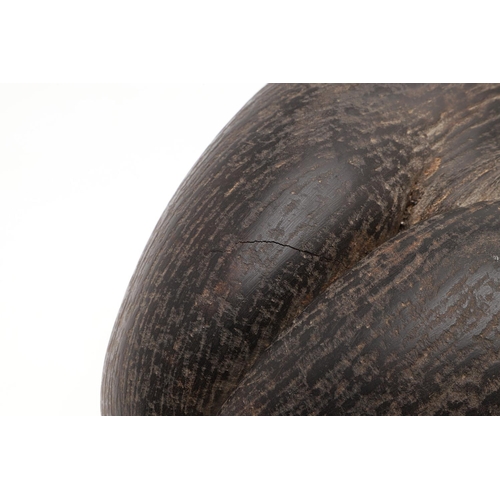 660 - COCO DE MER (LODOICEA). A large Coco De Mer nut, approx 31cms by 28cms at widest point.  *CR  See on... 