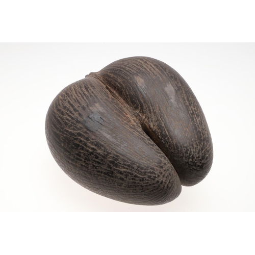 660 - COCO DE MER (LODOICEA). A large Coco De Mer nut, approx 31cms by 28cms at widest point.  *CR  See on... 