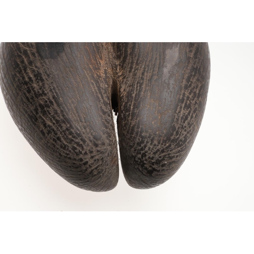 660 - COCO DE MER (LODOICEA). A large Coco De Mer nut, approx 31cms by 28cms at widest point.  *CR  See on... 