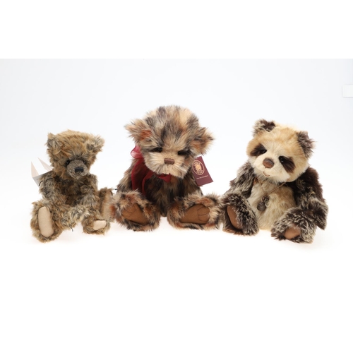 704 - CHARLIE BEARS TEDDY BEARS INCLUDING 'BIRTHDAY WOJTEK'. Various Charlie Bears including 'Regan' (CB15... 