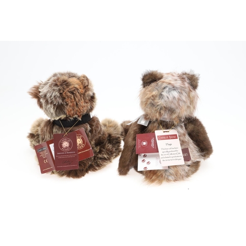 704 - CHARLIE BEARS TEDDY BEARS INCLUDING 'BIRTHDAY WOJTEK'. Various Charlie Bears including 'Regan' (CB15... 