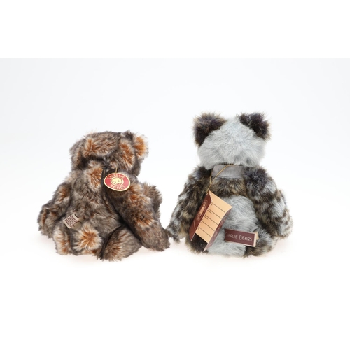 705 - CHARLIE BEARS TEDDY BEARS INCLUDING ARTHUR. Various Charlie Bears including 'Arthur' (CB120004B, 38c... 