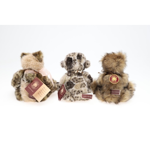 710 - CHARLIE BEARS TEDDY BEARS INCLUDING ISABELLE COLLECTION. Various Charlie Bears including 'Donatello'... 