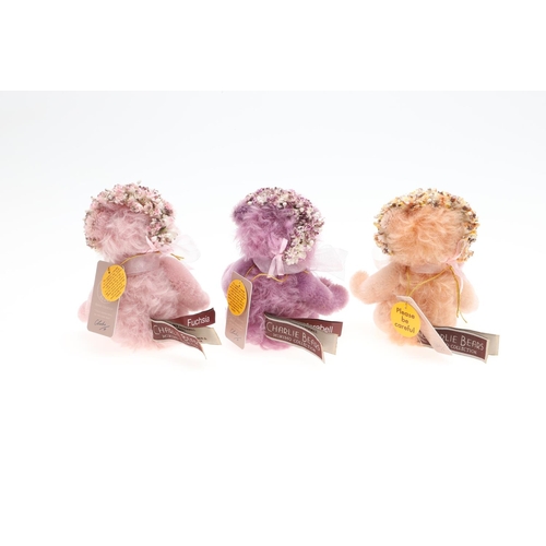 719 - CHARLIE BEARS - MINIMO COLLECTION. A set of three including 'Rosebud' (25 of 1000), 'Peashoot' (25 o... 